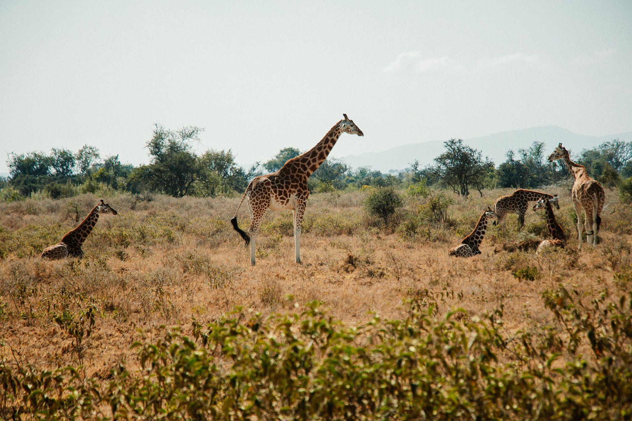 Tsavo East & West